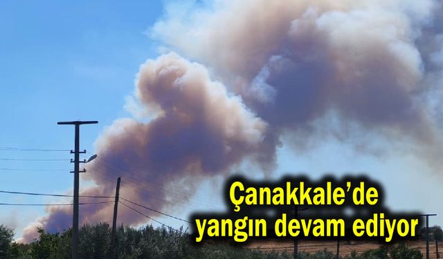 Çanakkale’de yangın devam ediyor