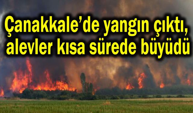 Çanakkale’de yangın çıktı, alevler kısa sürede büyüdü