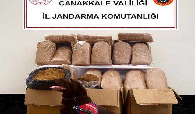 Çanakkale'de kaçakçılık operasyonu
