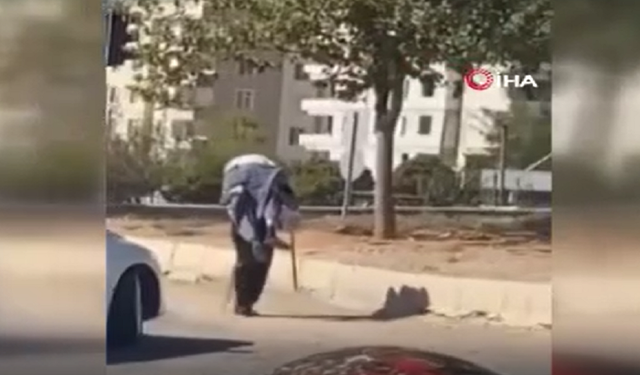 Yürekleri ısıtan görüntüler (Video)