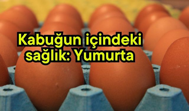 Kabuğun içindeki sağlık: Yumurta