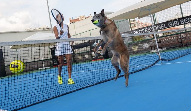 Milli Tenisçi Büyükakçay, patili dostu ile tenis oynadı