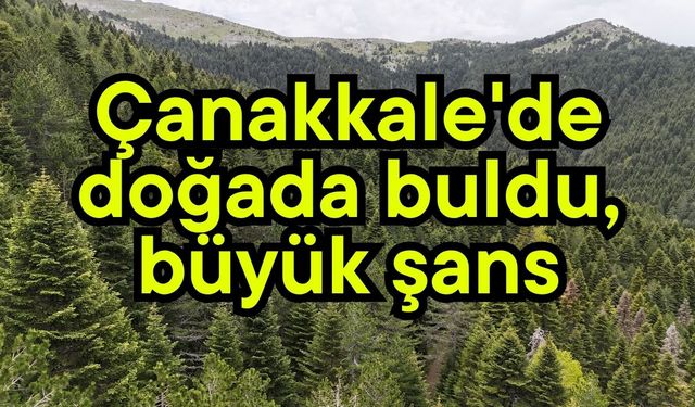 Çanakkale'de doğada buldu, büyük şans