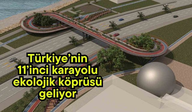 Türkiye’nin 11’inci karayolu ekolojik köprüsü geliyor