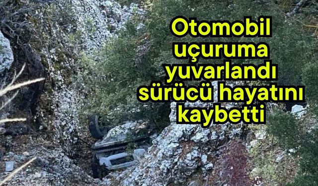 Otomobil uçuruma yuvarlandı, sürücü hayatını kaybetti