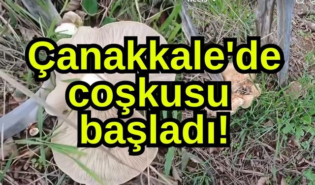 Çanakkale'de coşkusu başladı!
