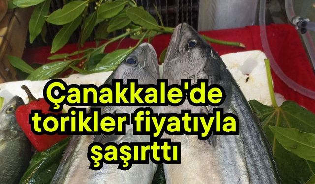 Çanakkale'de torikler fiyatıyla şaşırttı