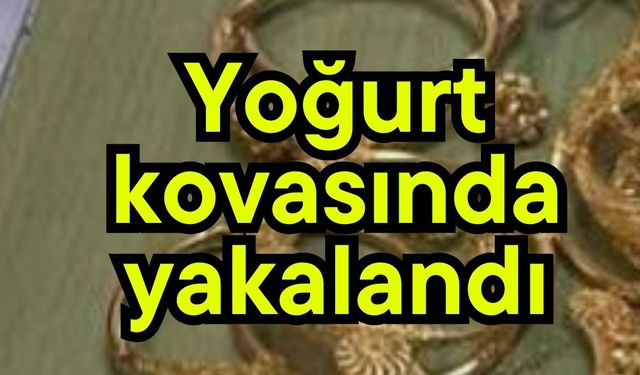 Yoğurt kovasında yakalandı