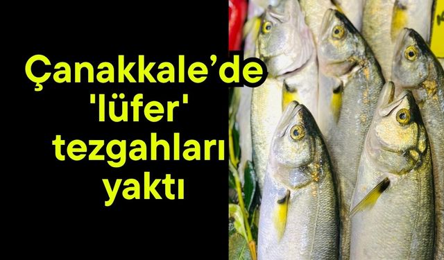 Çanakkale’de 'lüfer' tezgahları yaktı