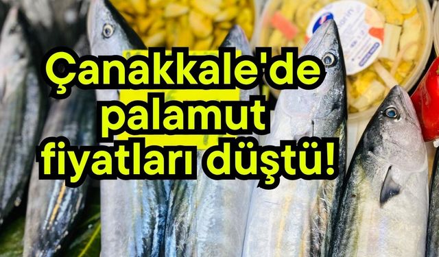 Çanakkale'de palamut fiyatları düştü!