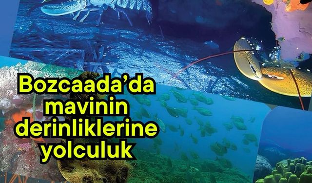 Bozcaada’da mavinin derinliklerine yolculuk