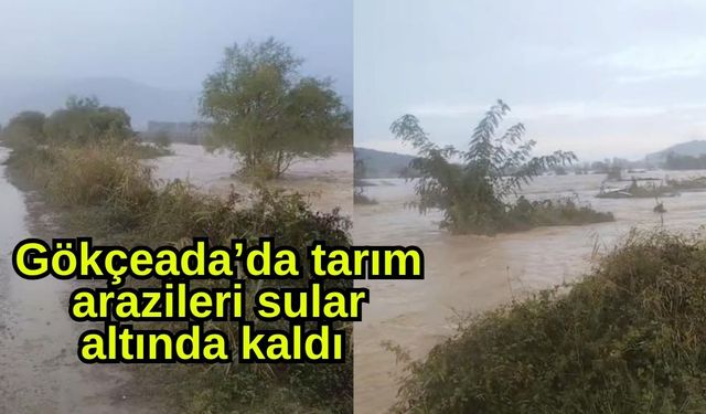 Gökçeada’da tarım arazileri sular altında kaldı