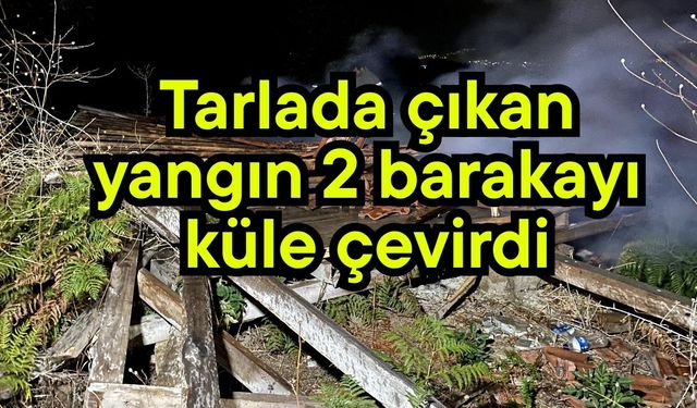 Tarlada çıkan yangın 2 barakayı küle çevirdi (Video)