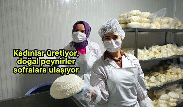 Kadınlar üretiyor, doğal peynirler sofralara ulaşıyor