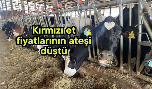 Kırmızı et fiyatlarının ateşi düştü (Video)