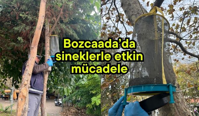 Bozcaada’da sineklerle etkin mücadele
