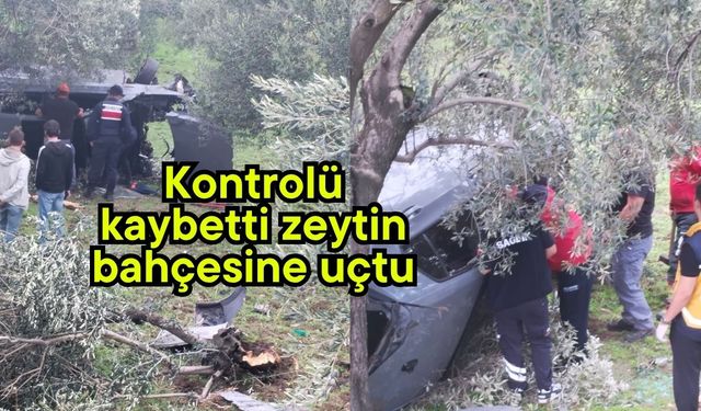 Kontrolü kaybetti zeytin bahçesine uçtu