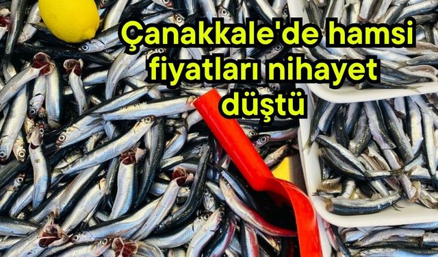 Çanakkale'de hamsi fiyatları nihayet düştü
