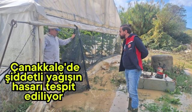 Çanakkale'de şiddetli yağışın hasarı tespit ediliyor