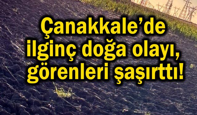 Çanakkale’de ilginç doğa olayı, görenleri şaşırttı!