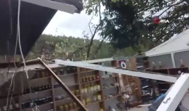 Hortum ağaçları kökünden söktü, bir işletmeyi yerle bir etti (Video)