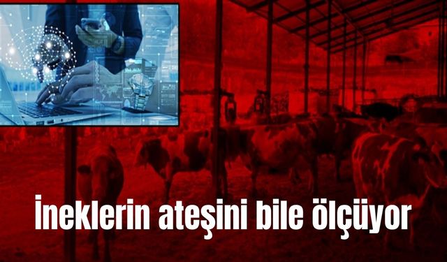 Yapay zeka hayvancılıkta çığır açtı (Video)