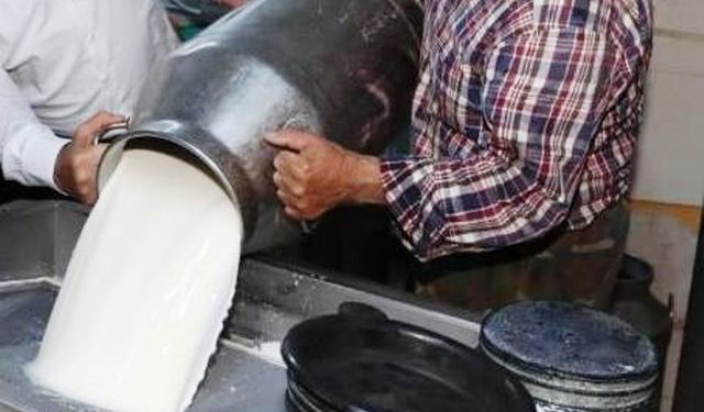 Eylül ayında toplanan inek sütü miktarı azaldı