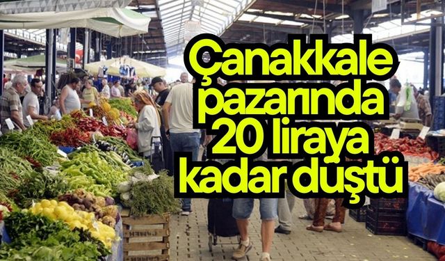 Çanakkale pazarında 20 liraya kadar düştü