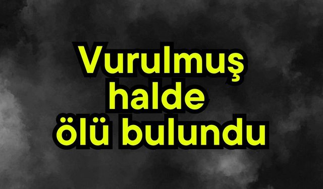 Vurulmuş halde ölü bulundu