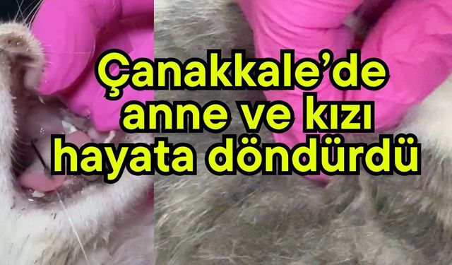 Çanakkale’de anne ve kızı hayata döndürdü (Video)