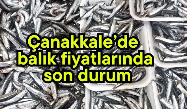 Çanakkale'de balık fiyatlarında son durum