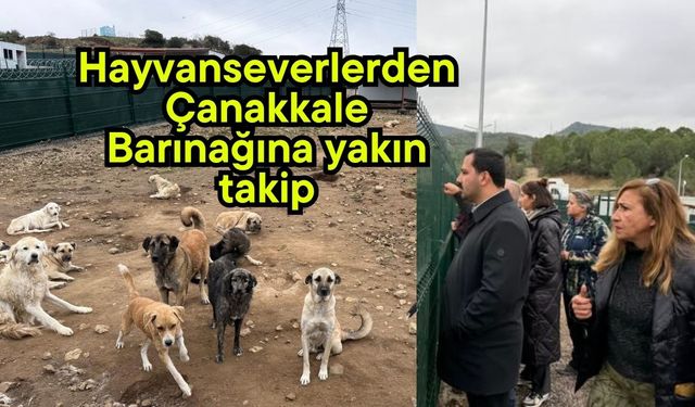 Hayvanseverlerden Çanakkale Barınağına yakın takip