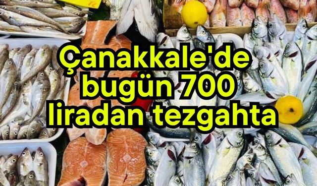 Çanakkale'de bugün 700 liradan tezgahta