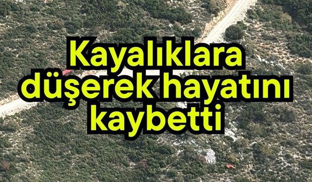 Kayalıklara düşerek hayatını kaybetti