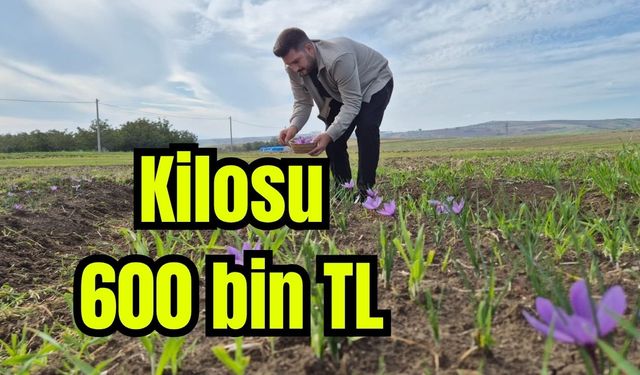 Bu baharatın kilosu 600 bin TL