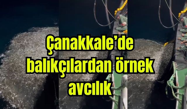Çanakkale'de balıkçılardan örnek avcılık