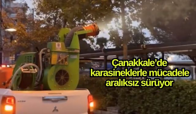 Çanakkale’de karasineklerle mücadele aralıksız sürüyor