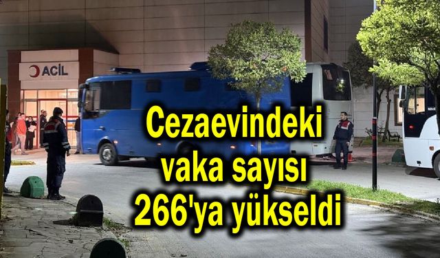 Cezaevindeki vaka sayısı 266'ya yükseldi (Video)