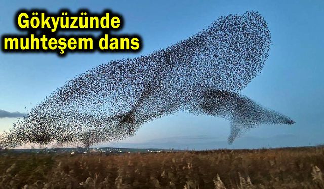 Gökyüzünde muhteşem dans (Video)