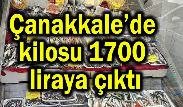 Çanakkale’de kilosu 1700 liraya çıktı