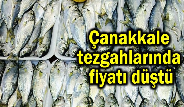 Çanakkale tezgahlarında fiyatı düştü