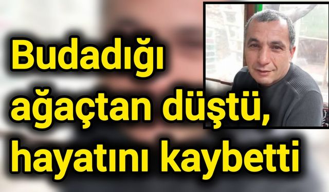 Budadığı ağaçtan düştü, hayatını kaybetti