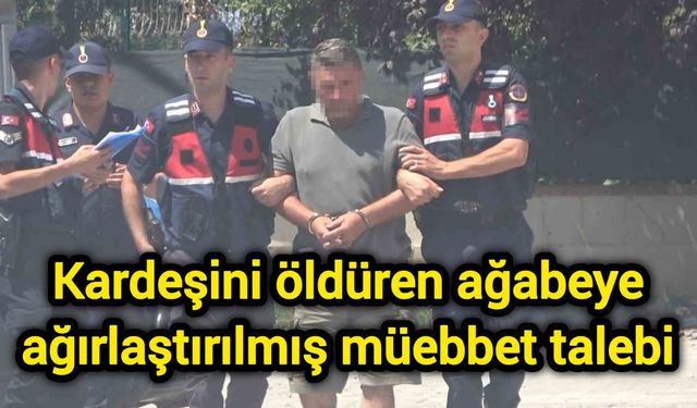Kardeşini öldüren ağabeye ağırlaştırılmış müebbet talebi