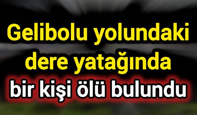 Gelibolu yolundaki dere yatağında bir kişi ölü bulundu