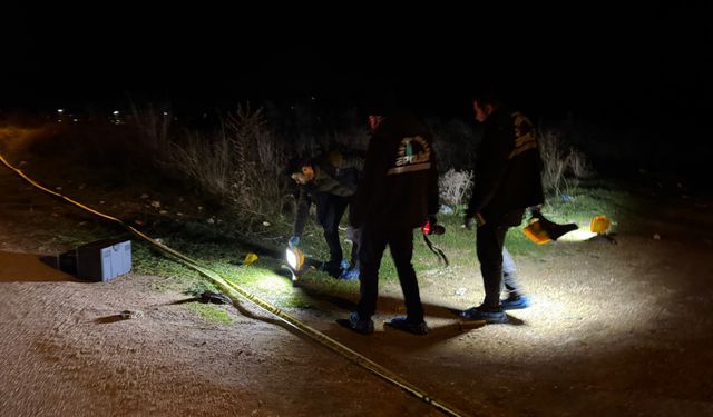 Yol kenarında ölü bulundu