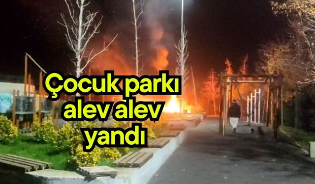 Çocuk parkı alev alev yandı