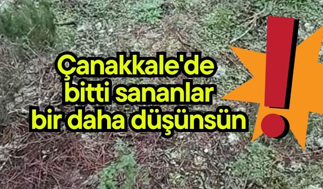 Çanakkale'de bitti sananlar bir daha düşünsün!