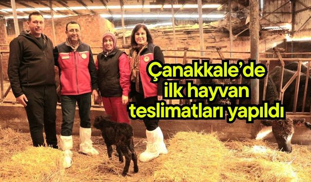 Çanakkale’de ilk hayvan teslimatları yapıldı