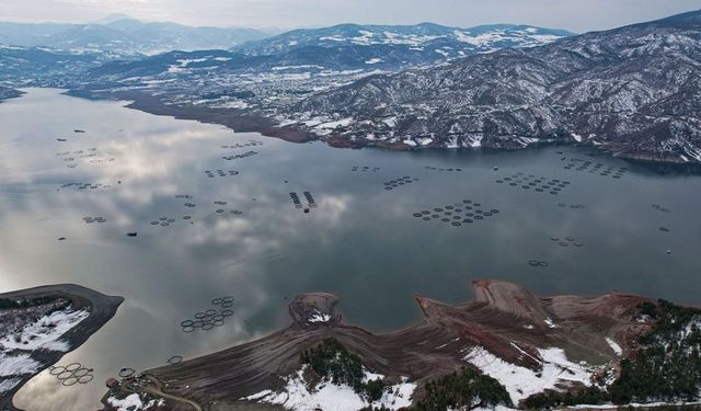 Denizi olmayan yerden somonları dünya sofralarına ulaşıyor (Video)