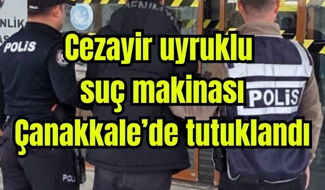 Cezayir uyruklu suç makinası Çanakkale’de tutuklandı